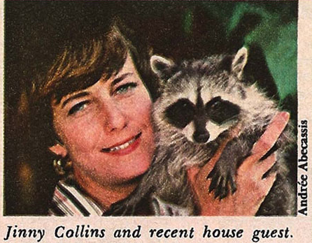 1970s magazine clipping of woman holding a raccoon.
