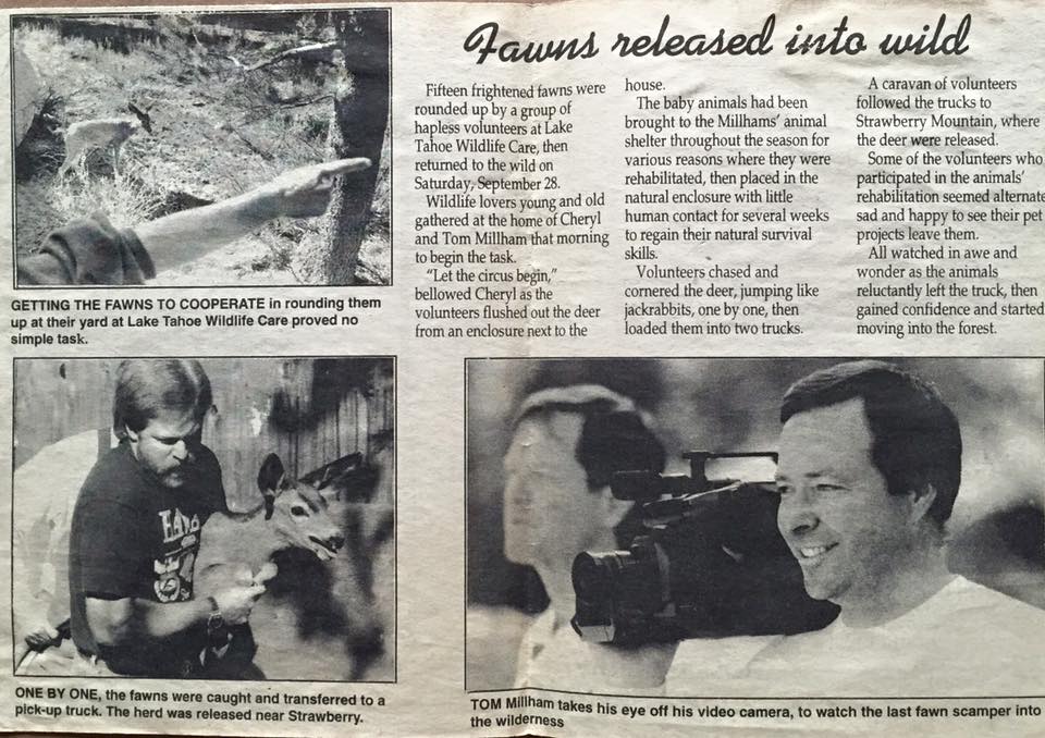 1991 newspaper story about LTWC.
