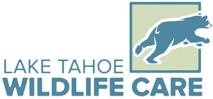 Lake Tahoe Wildlife Care, Inc.