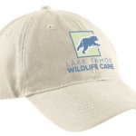 hat front with logo