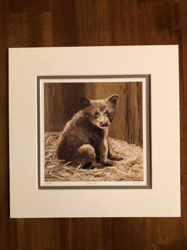 Jamison bear cub print - front