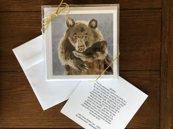 Photo of greeting cards featuring Jamison bear cub (version 2)
