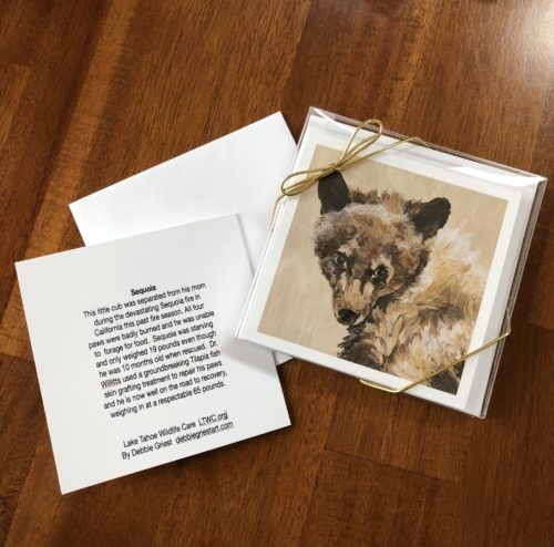 Greeting cards featuring Sequoia bear cub