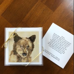 Quincy Bear Cub Greeting Cards