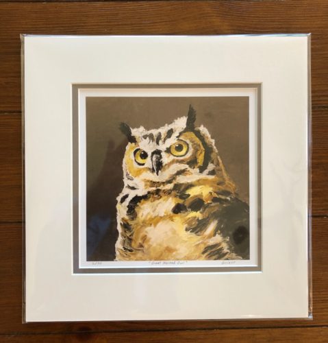 Owl Animal Print