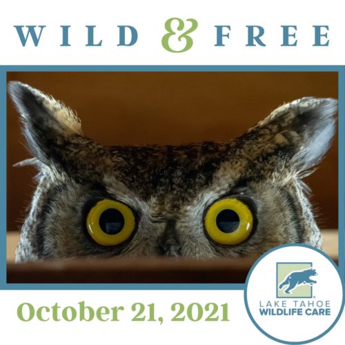 Wild & Free - October 21, 2021