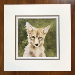 Tallac, Coyote Art Print