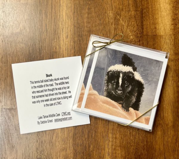 Skunk Greeting Cards