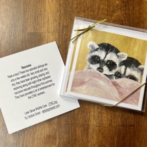 Raccoon Greeting Cards