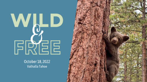 Wild & Free, October 18, 2022, Valhalla Tahoe