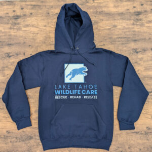 Navy Hoodie Sweatshirt (Pullover, Unisex)